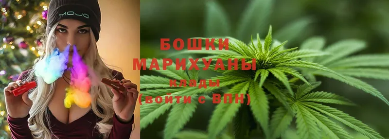 Бошки марихуана THC 21%  Боготол 